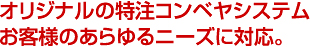 オリジナルの特注コンベヤシステムでお客様のあらゆるニーズに対応。
